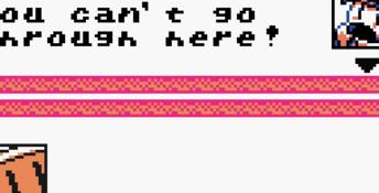 Bomberman Quest GBC Screenshot