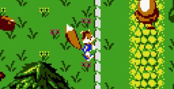 Conker's Pocket Tales GBC Screenshot