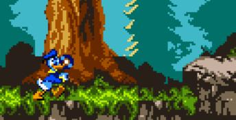 Donald Duck Quack Attack GBC Screenshot