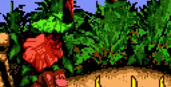 Donkey Kong 2001 GBC Screenshot