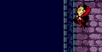Dracula: Crazy Vampire