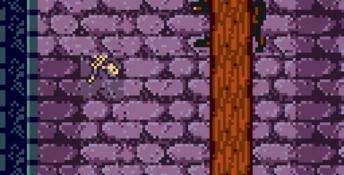 Dracula: Crazy Vampire GBC Screenshot