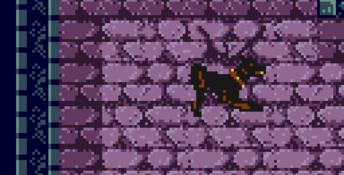 Dracula: Crazy Vampire GBC Screenshot