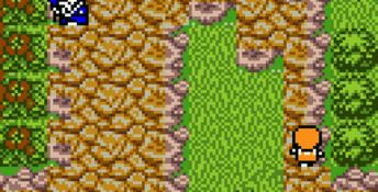 Dragon Quest III GBC Screenshot