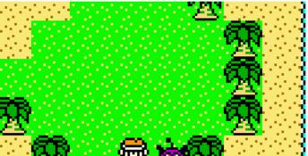 Dragon Quest Monsters 2 GBC Screenshot