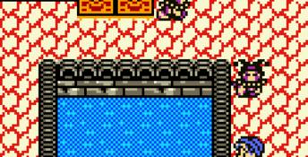 Dragon Quest Monsters: Terry no Wonderland GBC Screenshot