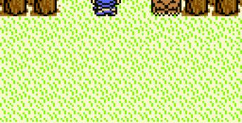 Dragon Quest Monsters: Terry no Wonderland GBC Screenshot