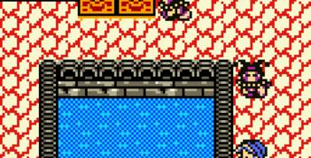 Dragon Warrior Monsters