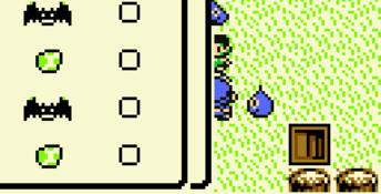 Dragon Warrior Monsters GBC Screenshot
