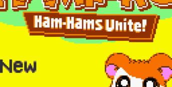 Hamtaro: Ham-Hams Unite! GBC Screenshot