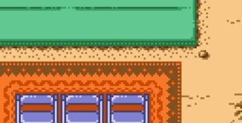 Hamtaro: Ham-Hams Unite! GBC Screenshot