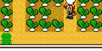 Harvest Moon 3 GBC