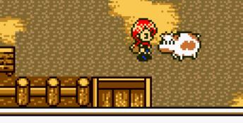 Harvest Moon 3 GBC