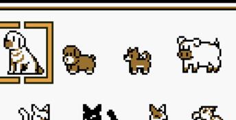 Harvest Moon 3 GBC GBC Screenshot