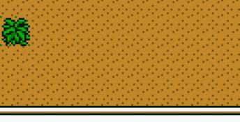 Harvest Moon 3 GBC GBC Screenshot