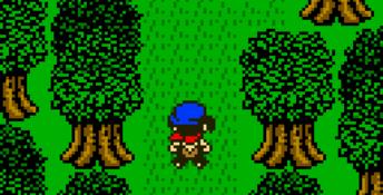 Harvest Moon 3 GBC GBC Screenshot