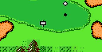 Hole in One Golf GBC Screenshot