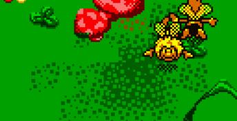 Maya the Bee: Garden Adventures
