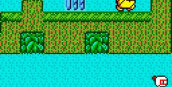 Pocket Bomberman GBC Screenshot