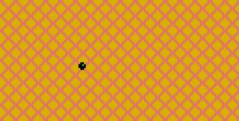 Pocket Color Block