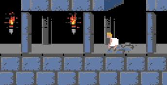 Prince Of Persia GBC Screenshot