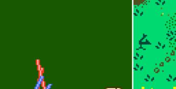 Qix Adventure GBC Screenshot
