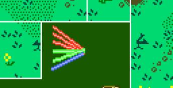 Qix Adventure GBC Screenshot