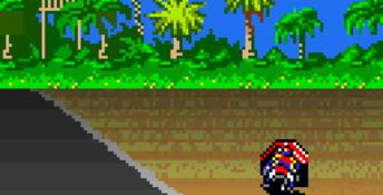 Suzuki Alstare Extreme Racing GBC Screenshot