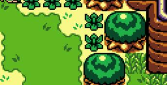 The Legend Of Zelda: Links Awakening Dx GBC Screenshot