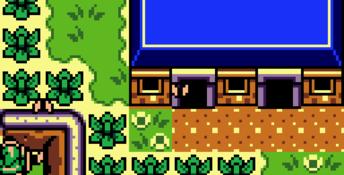 The Legend Of Zelda: Links Awakening Dx GBC Screenshot