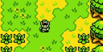 The Legend of Zelda: Oracle of Ages GBC Screenshot
