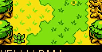 The Legend of Zelda: Oracle of Ages GBC Screenshot