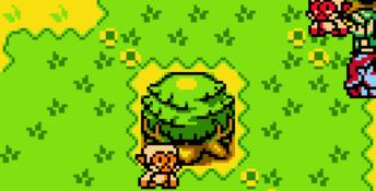 The Legend of Zelda: Oracle of Ages GBC Screenshot