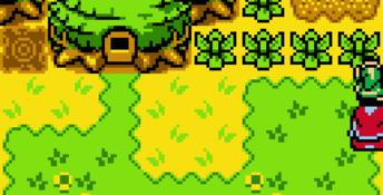 The Legend of Zelda: Oracle of Ages GBC Screenshot