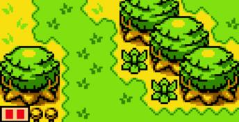 The Legend of Zelda: Oracle of Ages GBC Screenshot