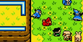 The Legend of Zelda: Oracle of Ages GBC Screenshot