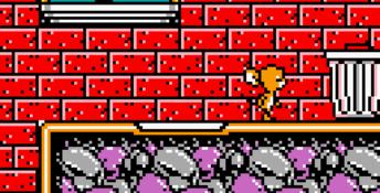 Tom and Jerry GBC Screenshot