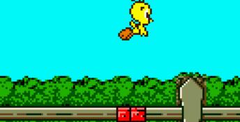 Tweety's High-Flying Adventure