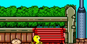 Tweety's High-Flying Adventure GBC Screenshot