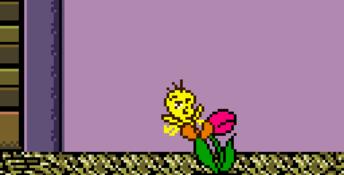 Tweety's High-Flying Adventure GBC Screenshot