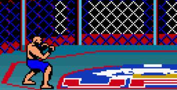 Ultimate Fighting Championship GBC Screenshot