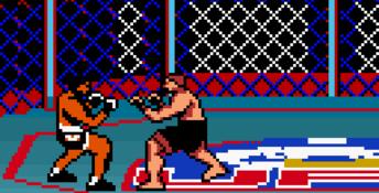 Ultimate Fighting Championship GBC Screenshot