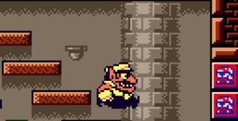 Wario Land II