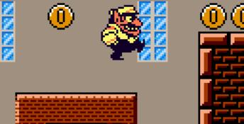 Wario Land II GBC Screenshot