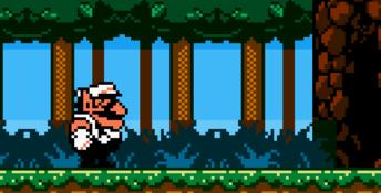Wario Land 3
