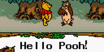 Winnie the Pooh: Adventures in the 100 Acre Wood GBC Screenshot