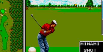 Arnold Palmer Tournament Golf