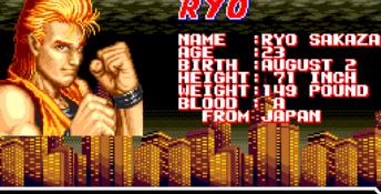 Art of Fighting Genesis Screenshot
