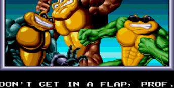 Battletoads and Double Dragon