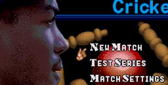 Brian Lara Cricket Genesis Screenshot